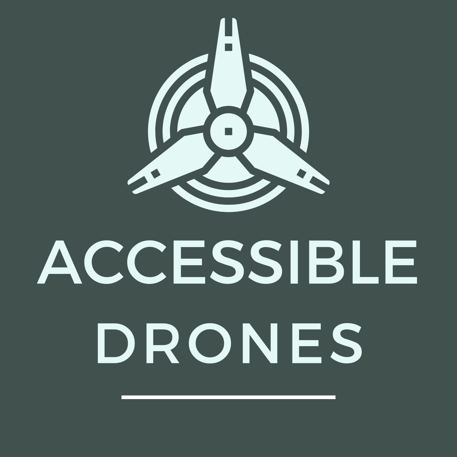 Accessible Drones